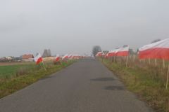 25-Niepodleglosc