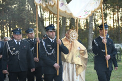 15-zmhor