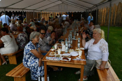 44-odPP