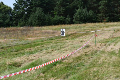 55-odPP